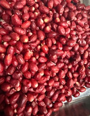 Wondataste Freeze dried Miracle Berry Fruit (Whole dried fruits)