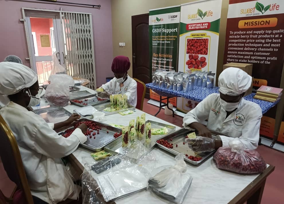 Miracle Berry Plantation